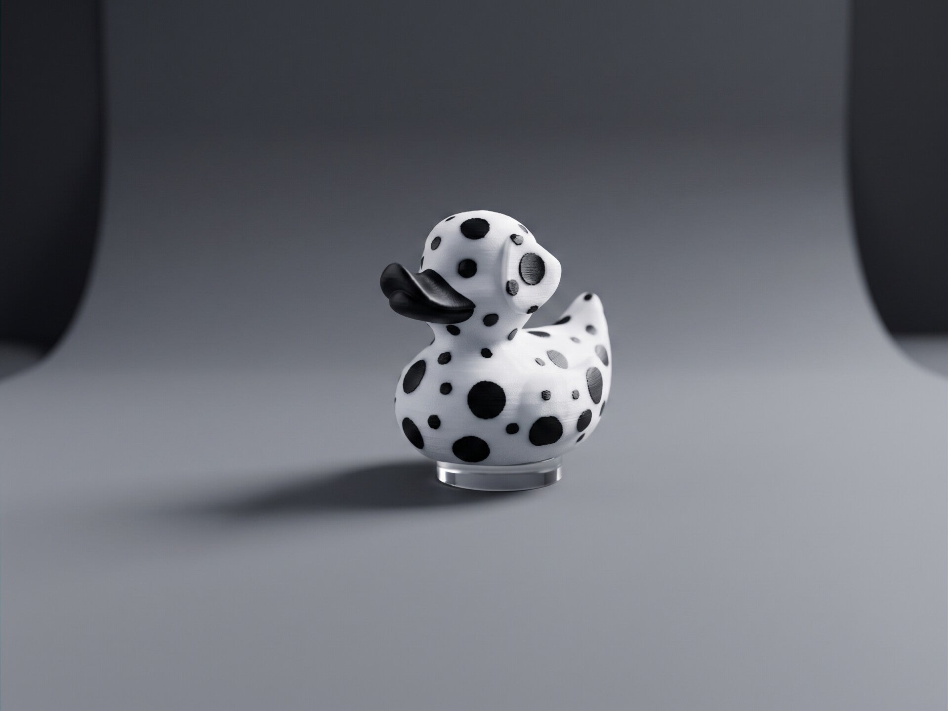 Dalmation Duck