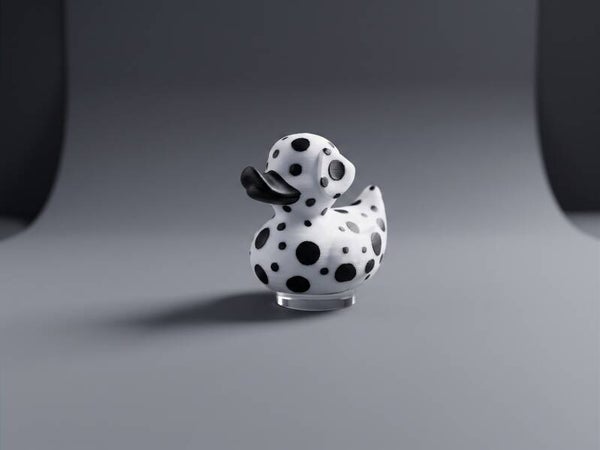 Dalmation Duck