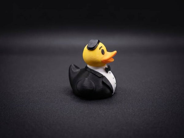 Groom Duck
