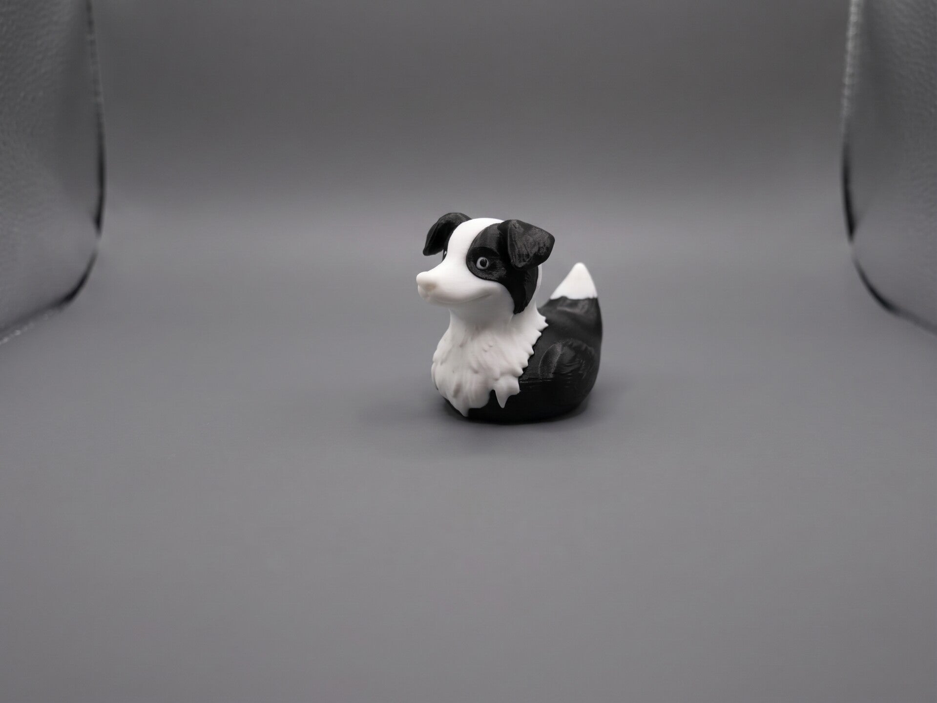 Border Collie Duck