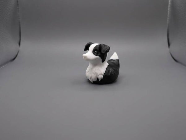 Border Collie Duck