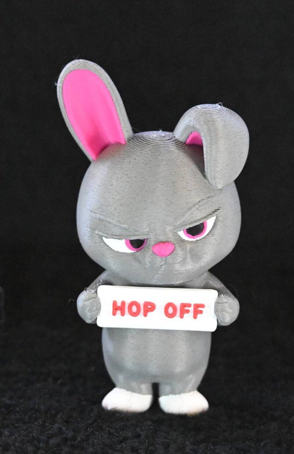 Rabbit