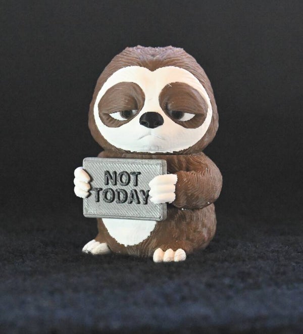 Sloth