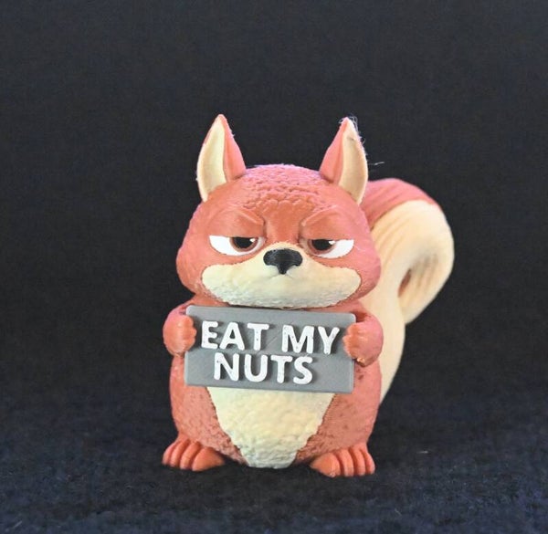 Squirrel