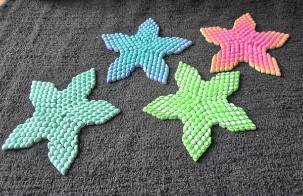 Susie, the Sea Star