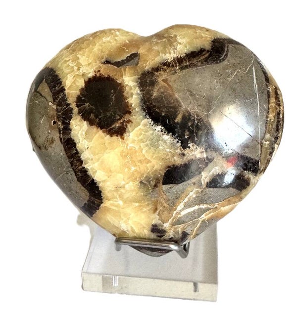 Gand Coeur en Séptaria 400 grammes