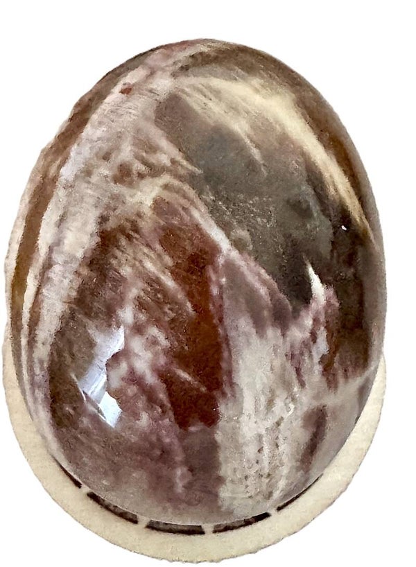 Oeuf Bois Fossilée 5 cm