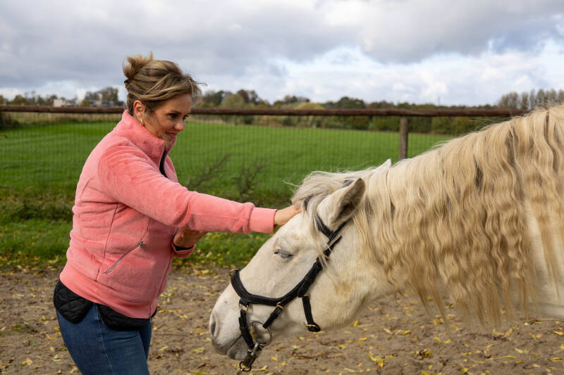 Reiki voor paarden