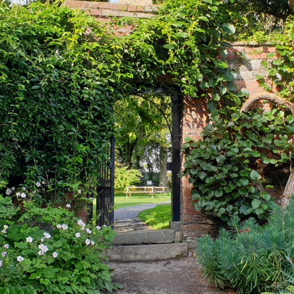 Keys to the Garden