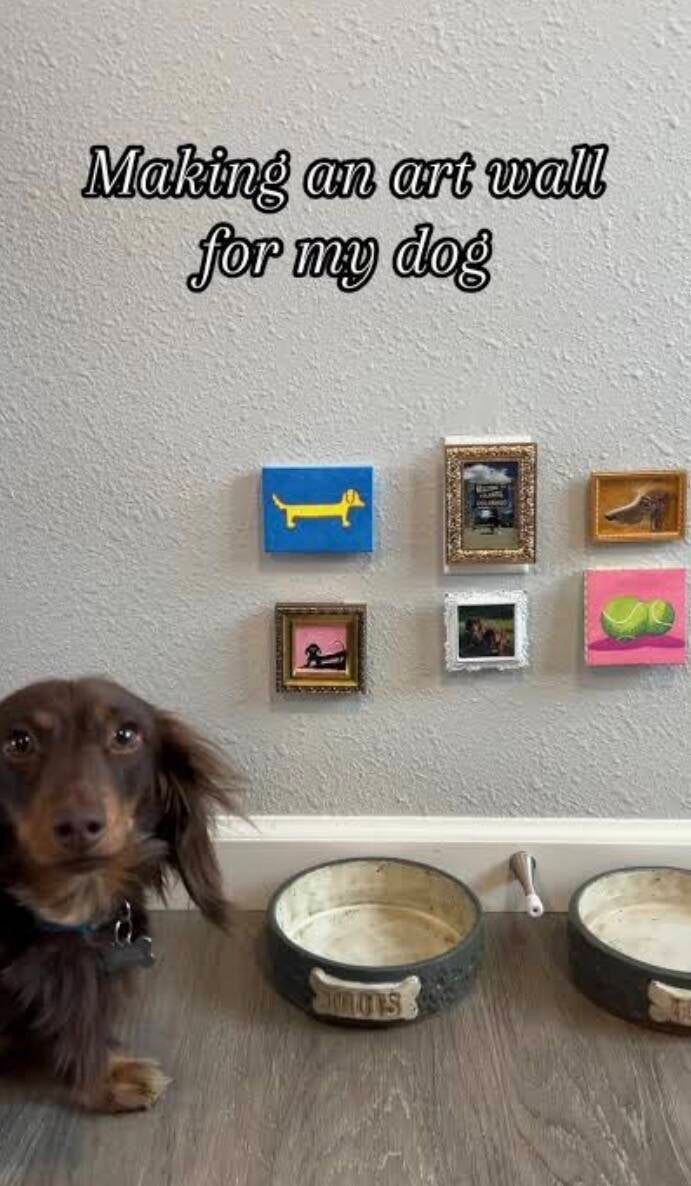 art gallery wall for your dogs