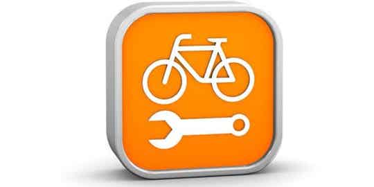 Grote Service Beurt  Ebike/ Fatbike