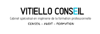 vitiello-conseil.com