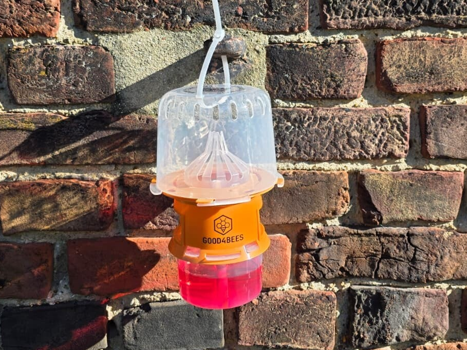 Good4bees
