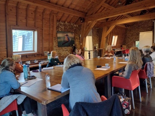 Coachopleidingen , basics van coaching, NLP en paardencoach