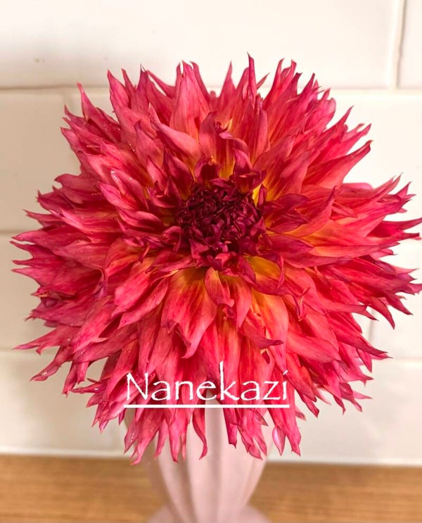 Nenekazi