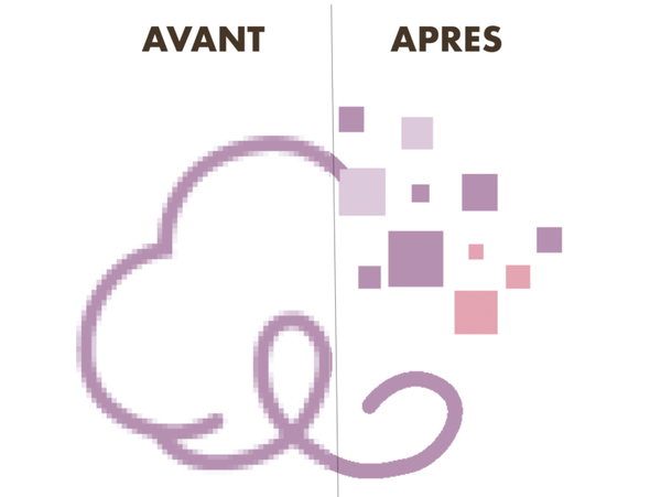 Forfait Vectorisation