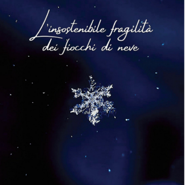 L'Insostenibile Fragilità dei Fiocchi di Neve