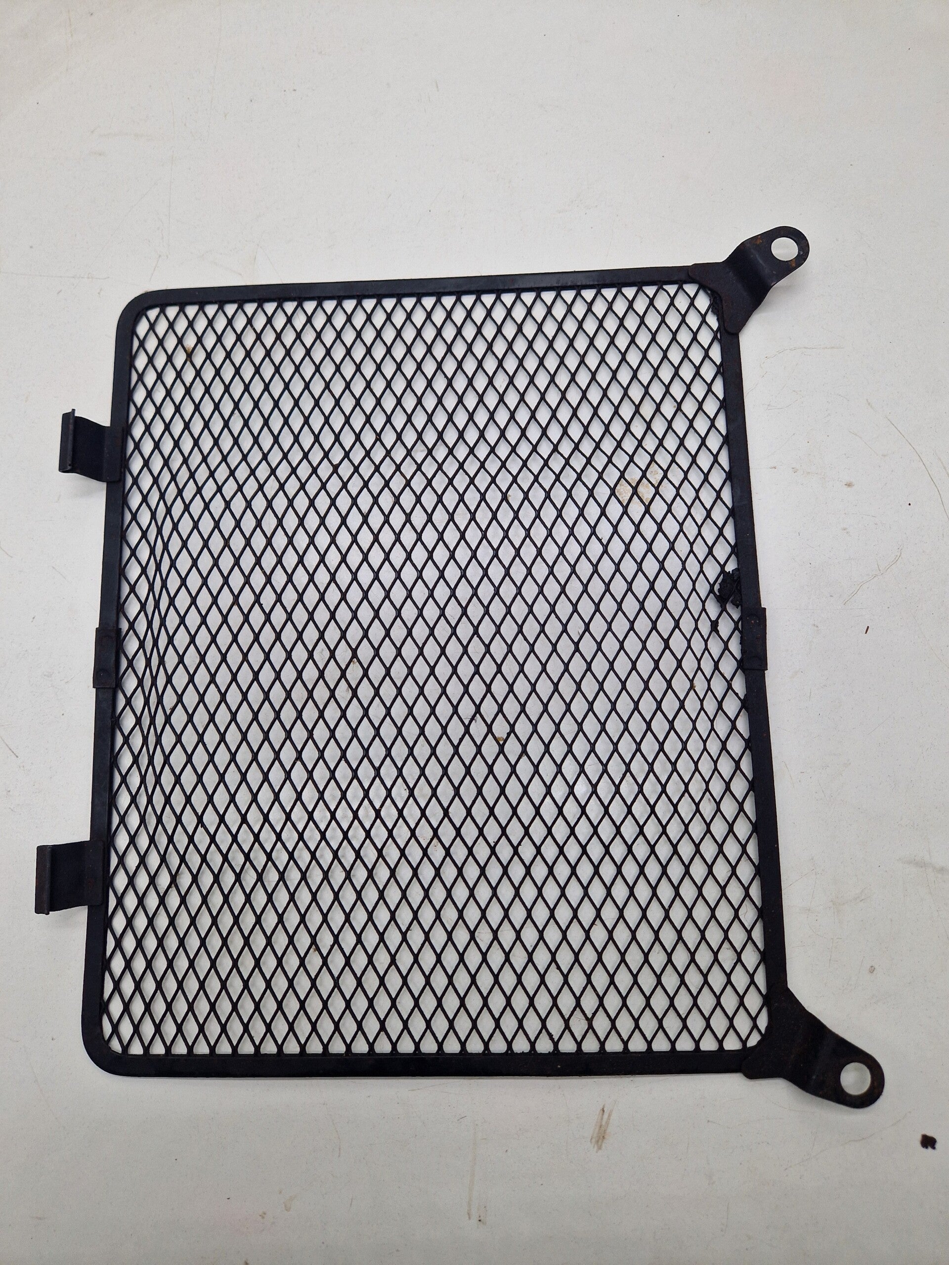 Kawasaki ER5 Radiateur scherm