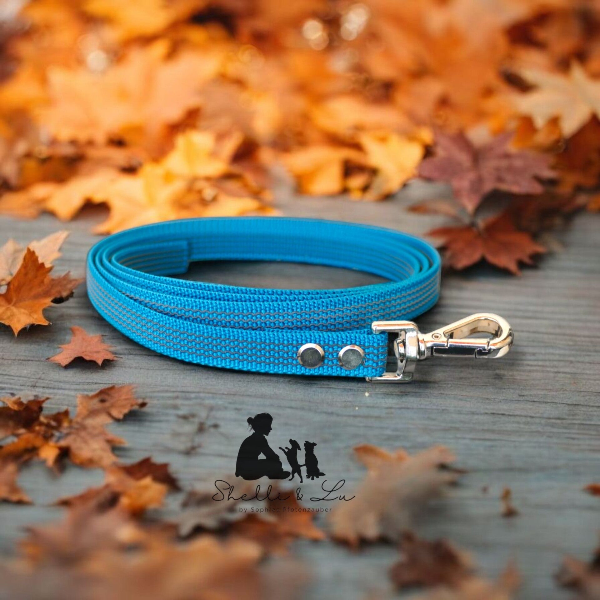 Gummierte Trainingsleine