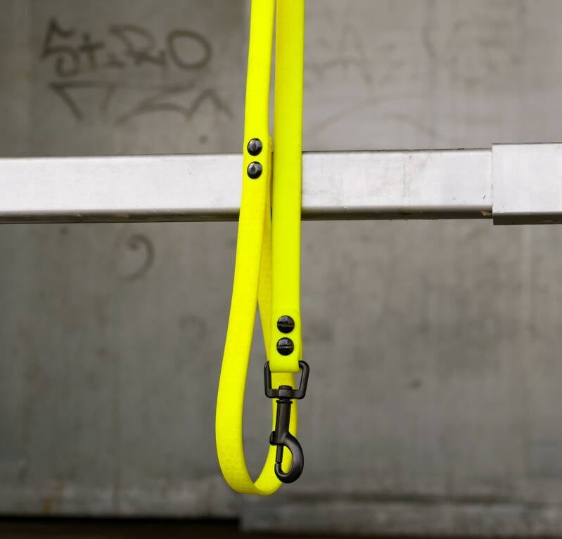 Hexa Gurtband Leine