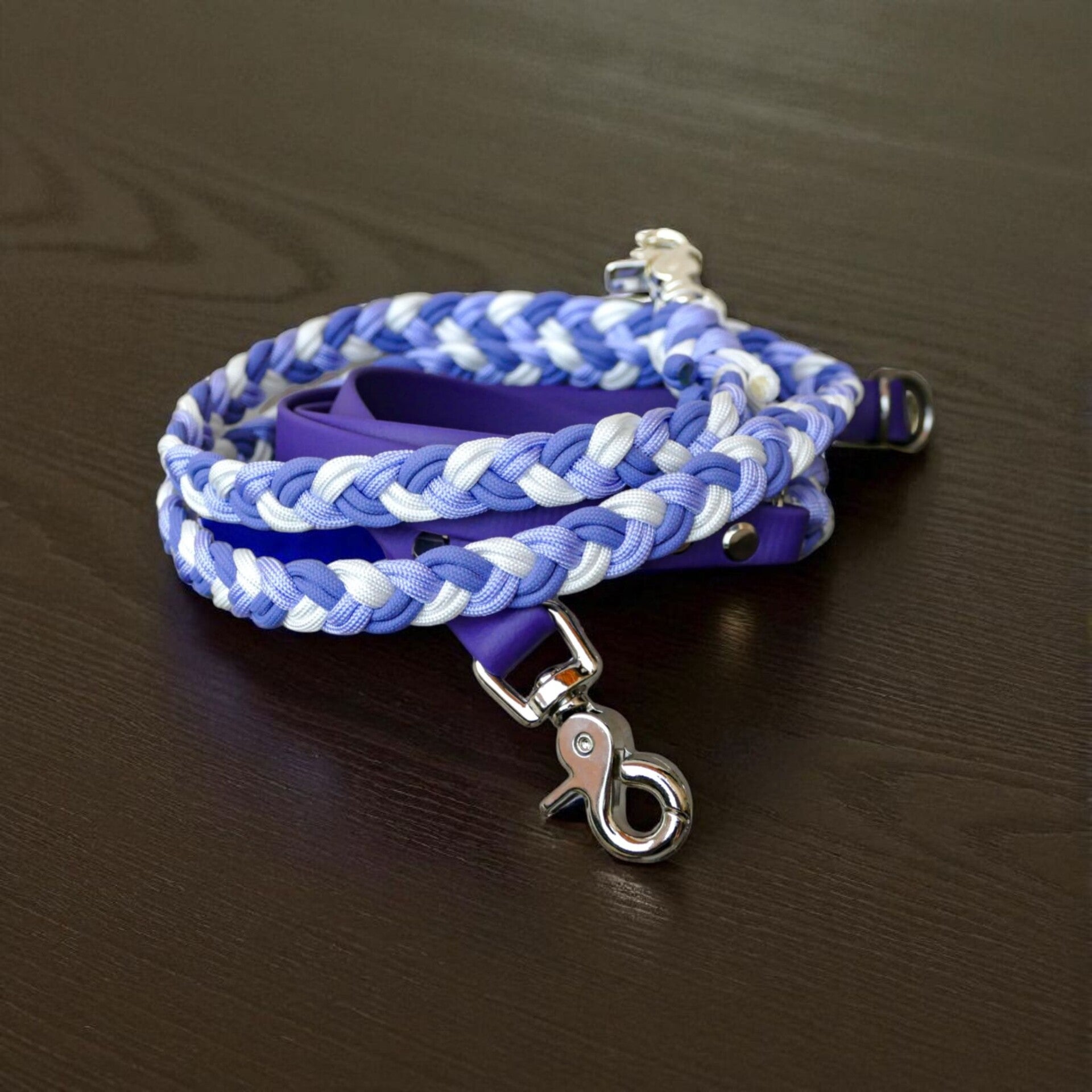 Biothane x Paracord Leine