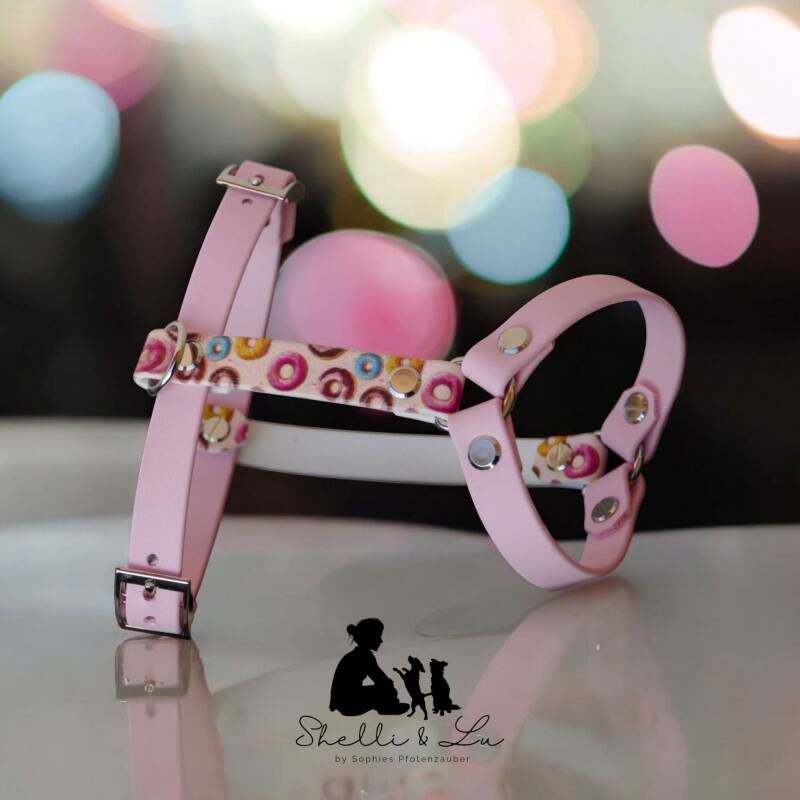 Biothane Geschirr XXS