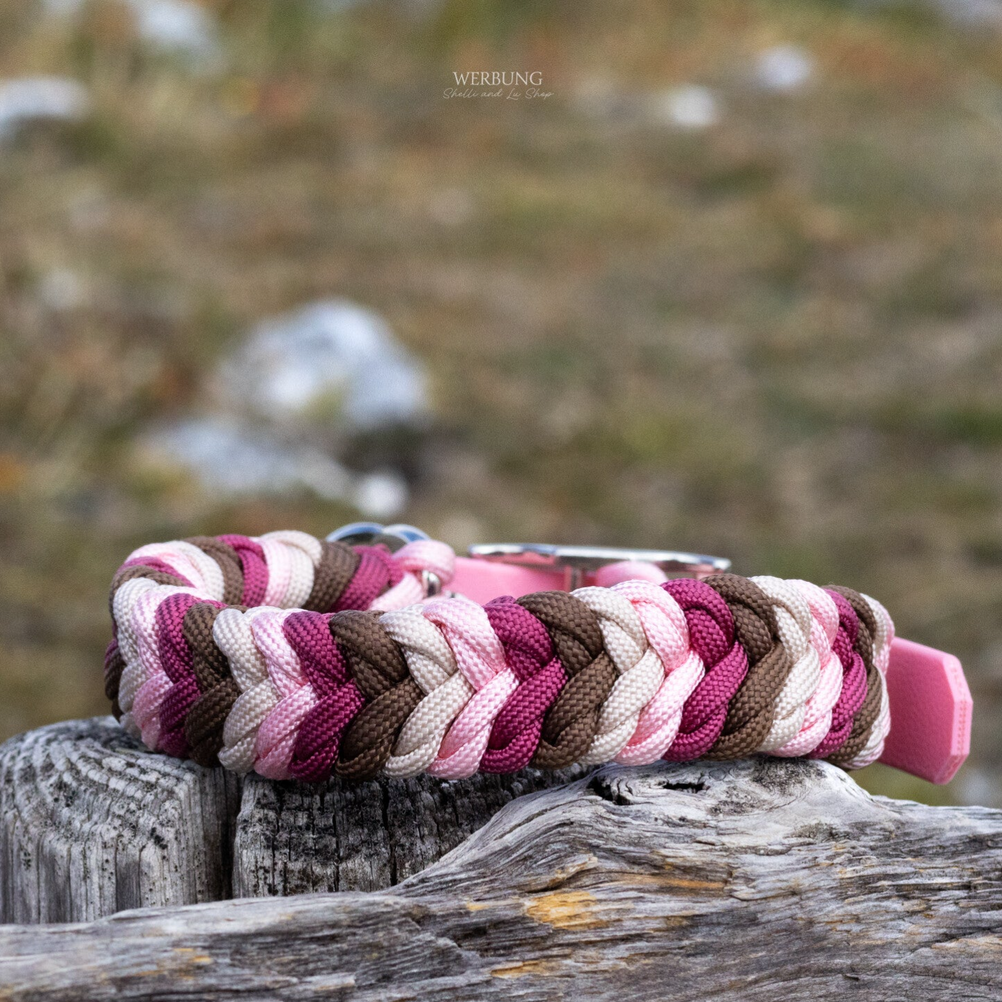 Halsband Belly / 2,5 cm breit