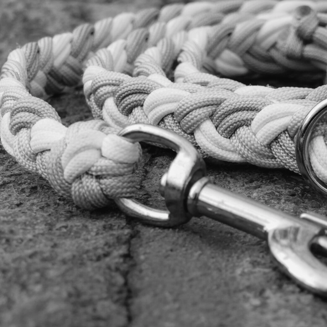 Leine Kaia - Überraschung