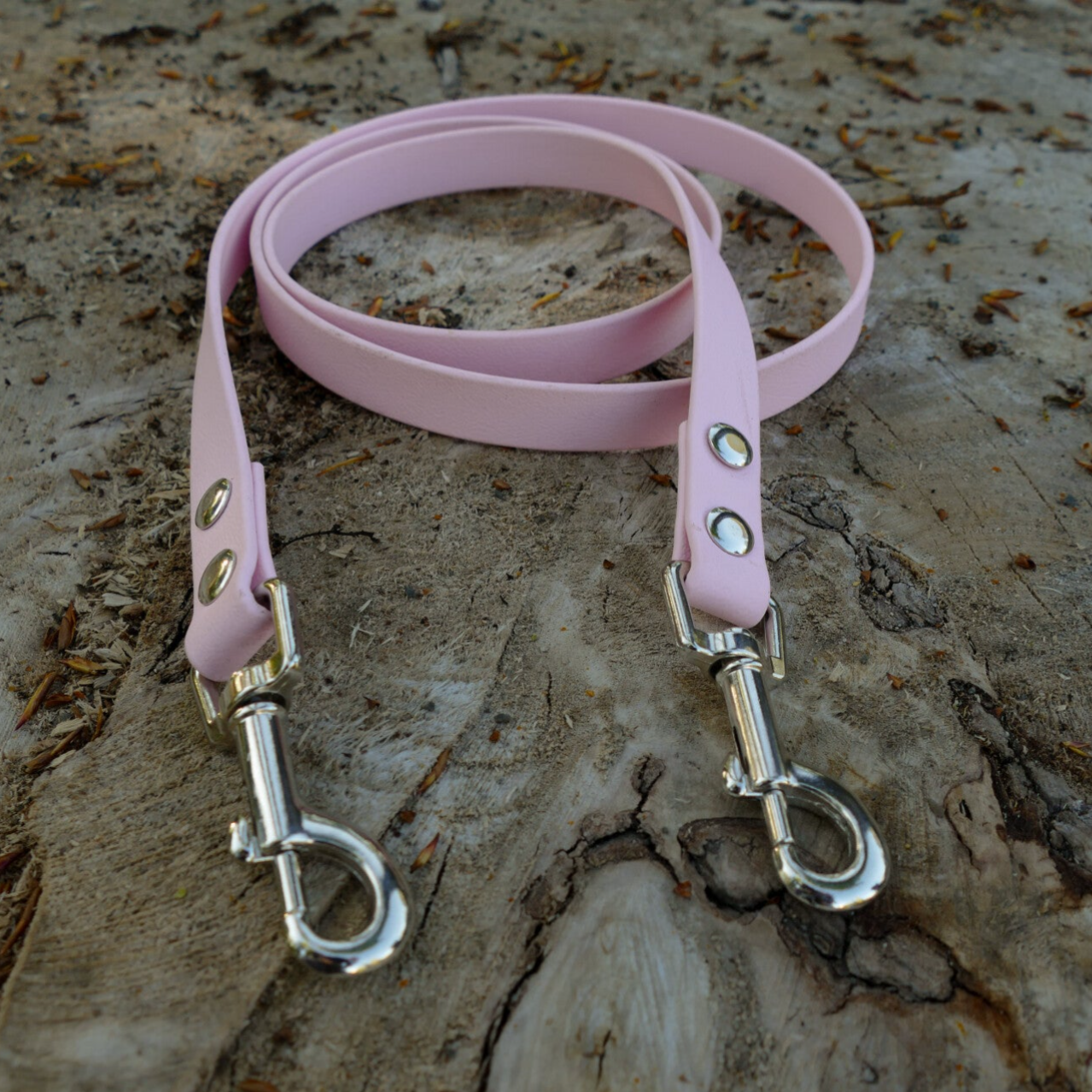 Biothane Karabinerleine