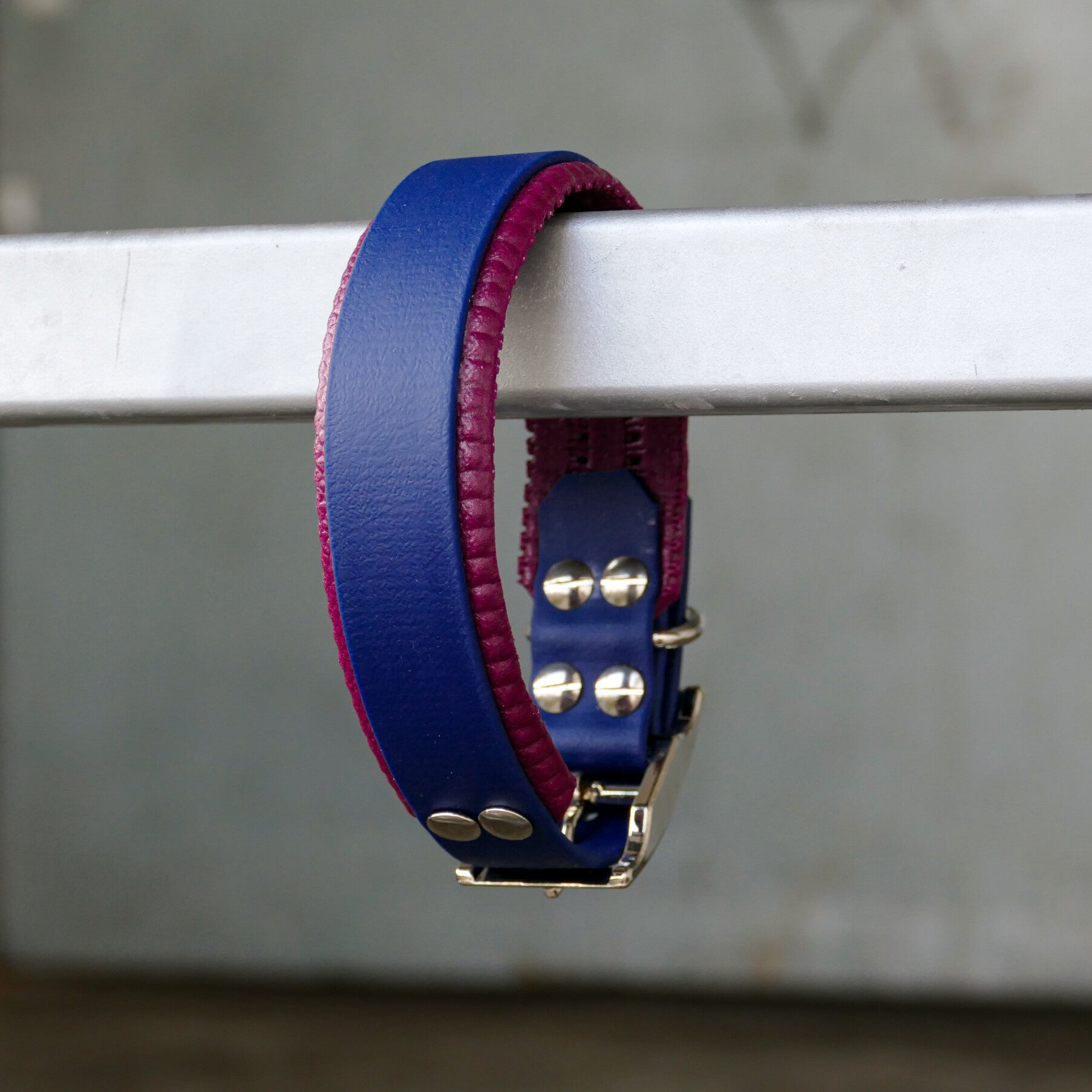 Biothane Halsband gepolstert