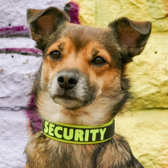 Druck , Schriften, Symbole, Designs