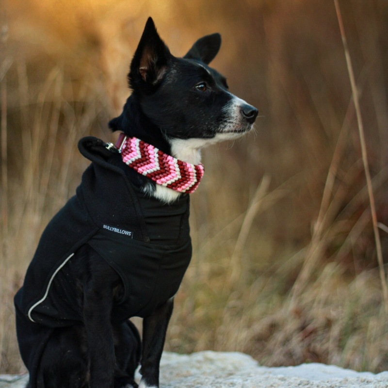 Halsband Little Diamond