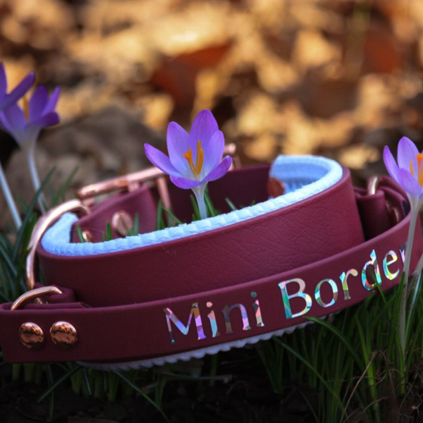 Gepolstertes Biothane Halsband mit Handgriff