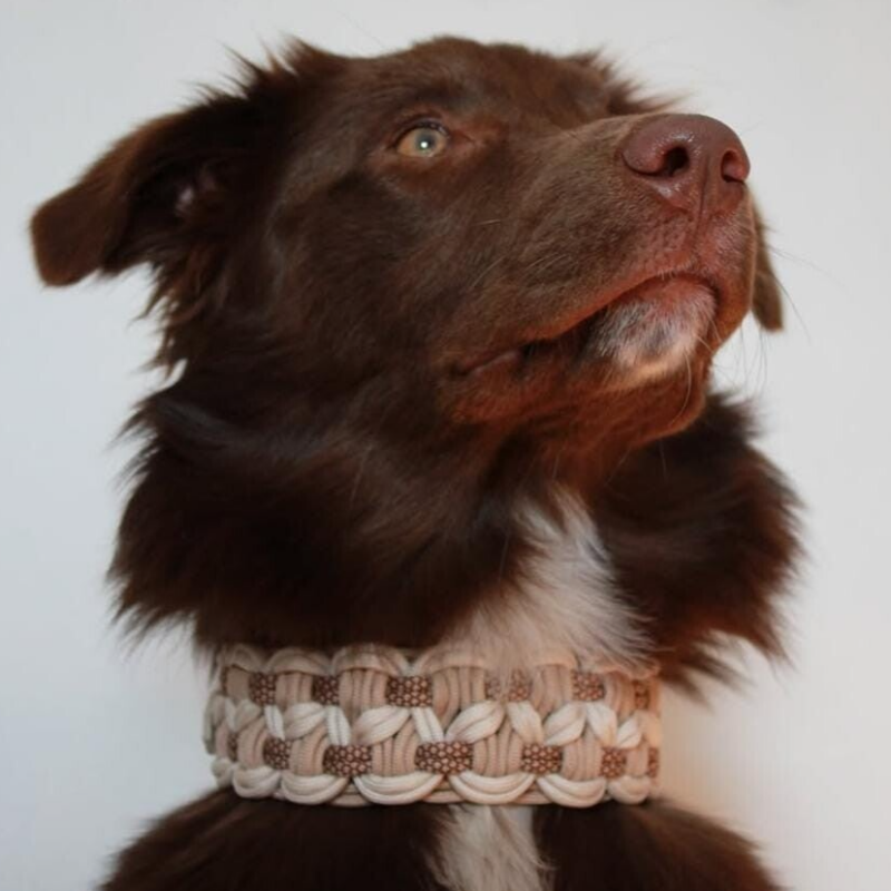 Halsband Nayuma