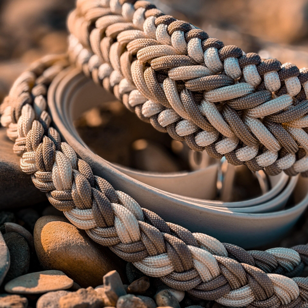 Biothane x Leine Kaia