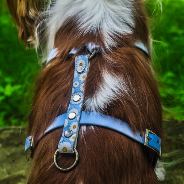 Biothane Geschirr XS-S