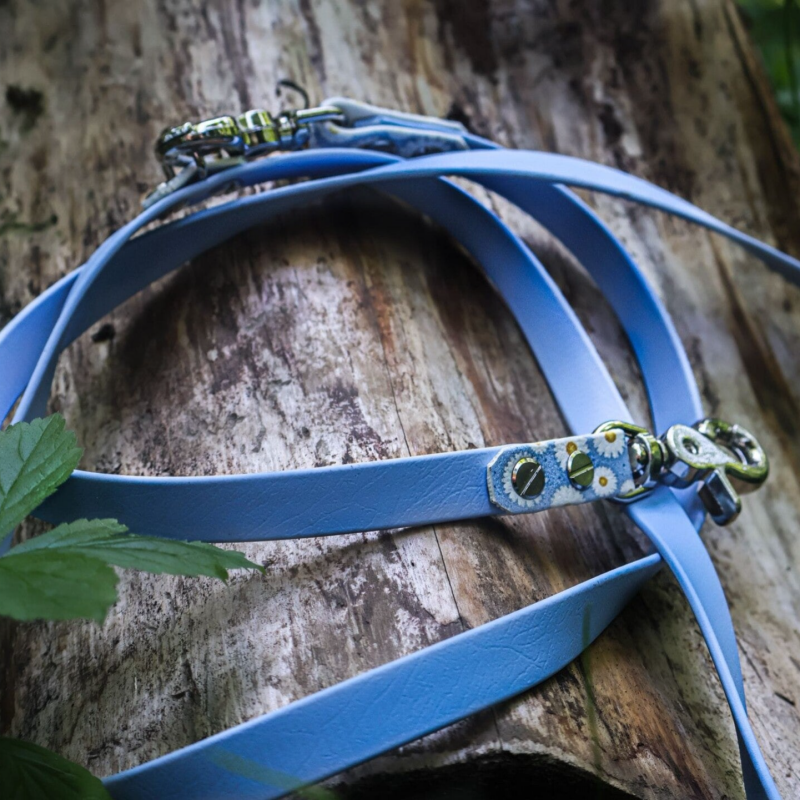 2er Set Biothane Leinen