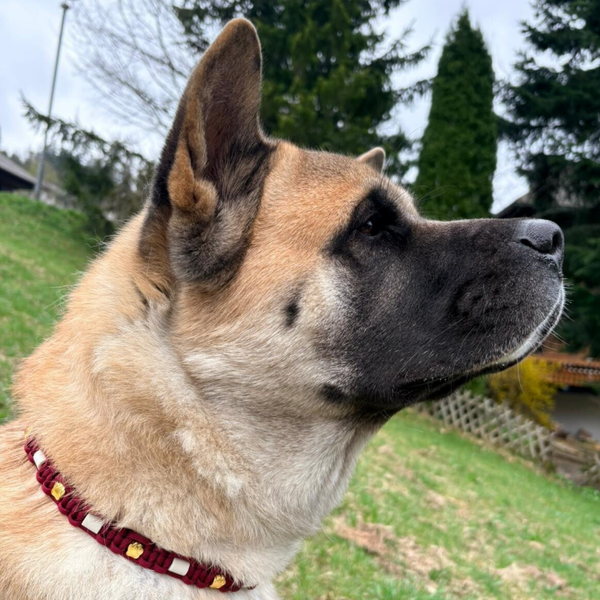 EM Keramik Halsband mit Schmuck