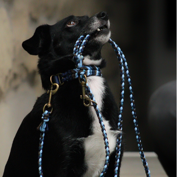 Leine Mini Happy & Halsband River