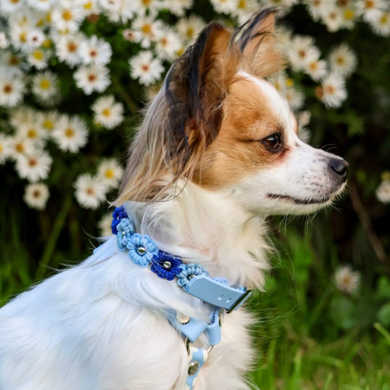 Halsband Mini Flower  (bis 30 cm)