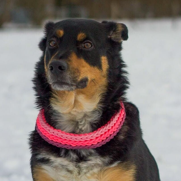 Halsband Fantastic 3