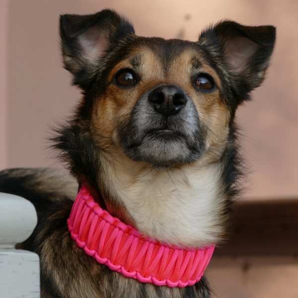Halsband Milo