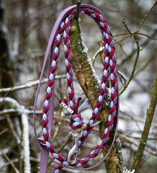 Biothane x Leine Happy