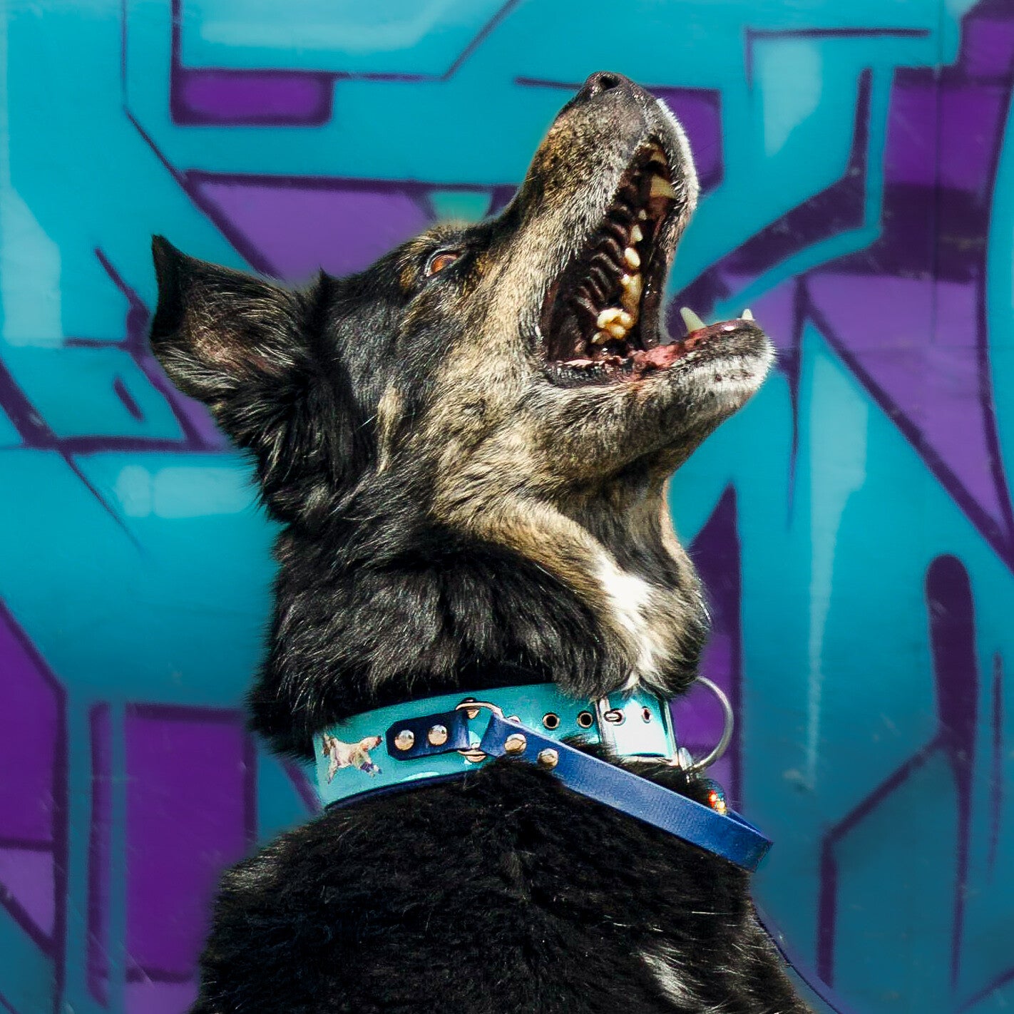 Halsband mit Griff