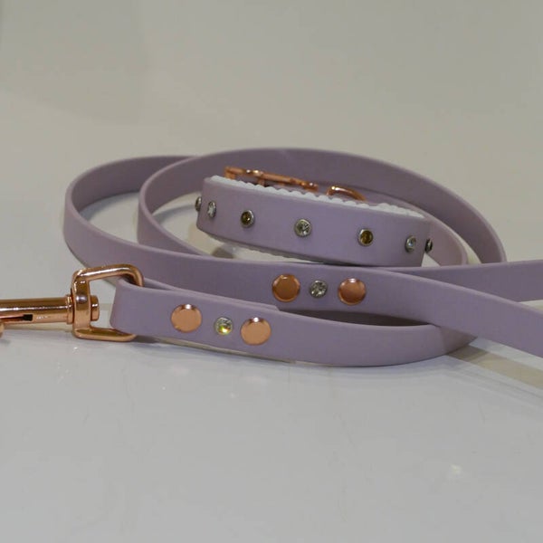 Halsband & Leine Set mit Strass
