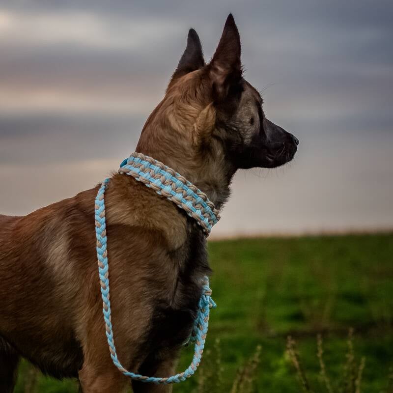 Leine Kaia & Halsband Nayuma