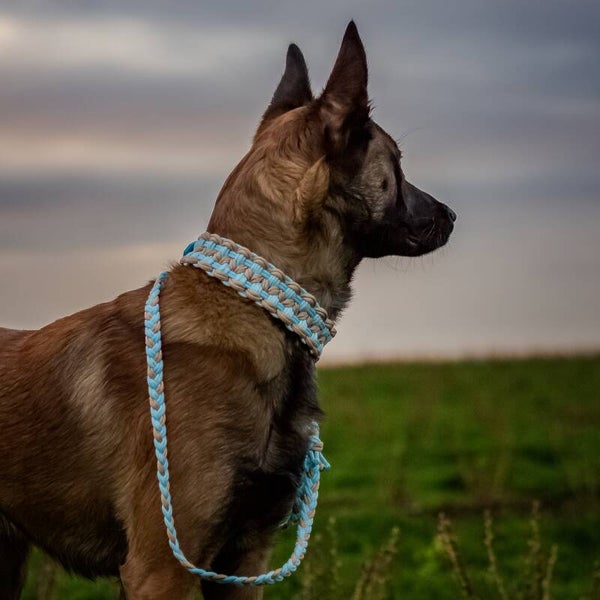 Leine Kaia & Halsband Nayuma