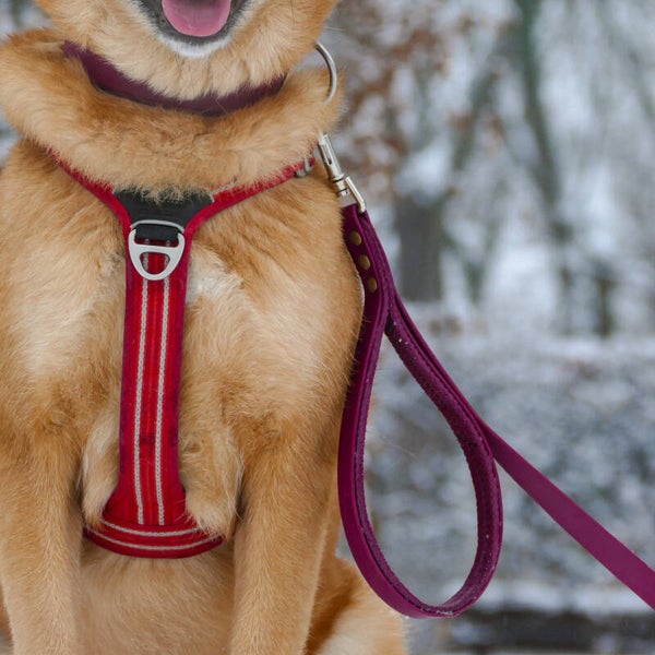 EasyHold - Biothane Leine