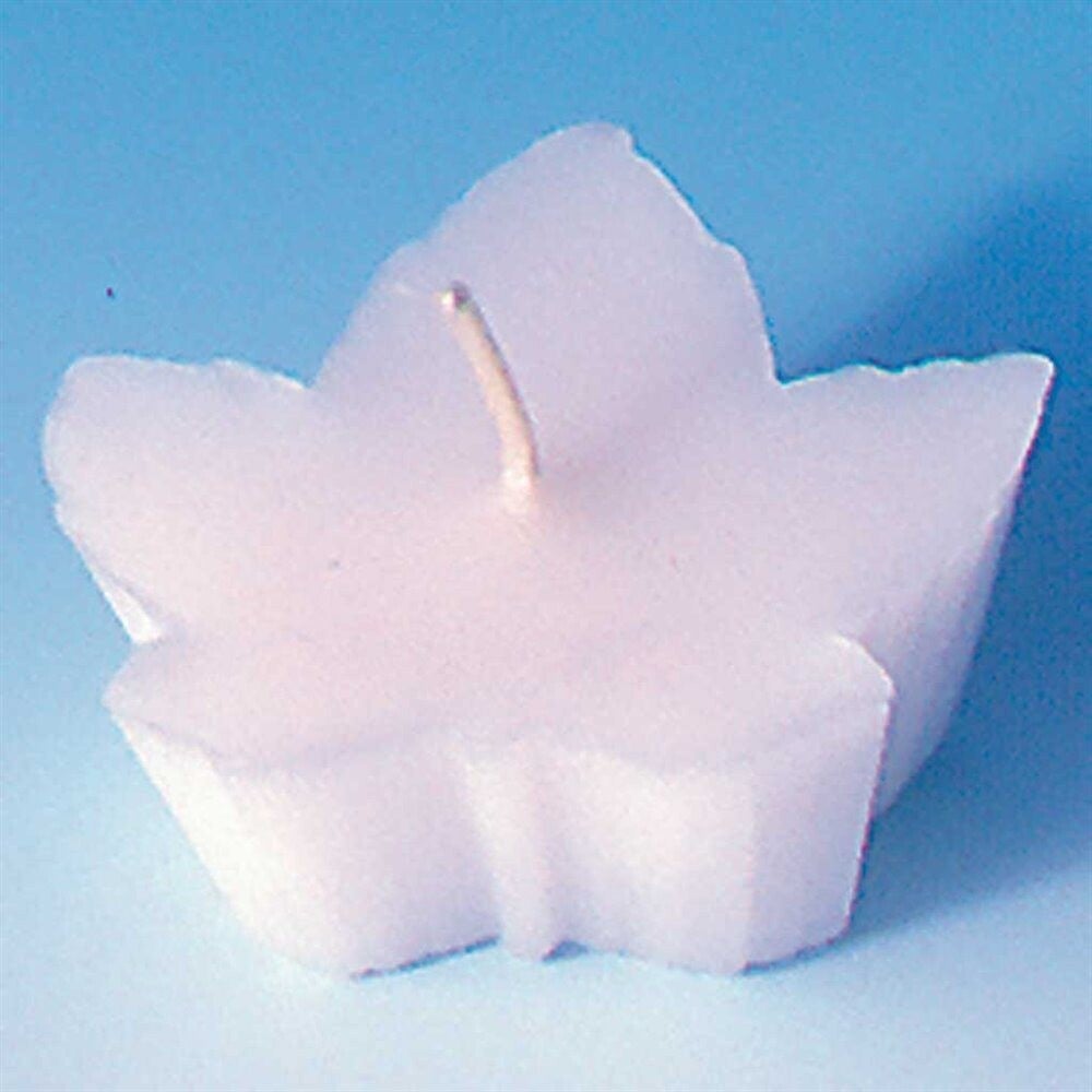 EXAGON Gießform Nr. 20 «Ahornblatt»