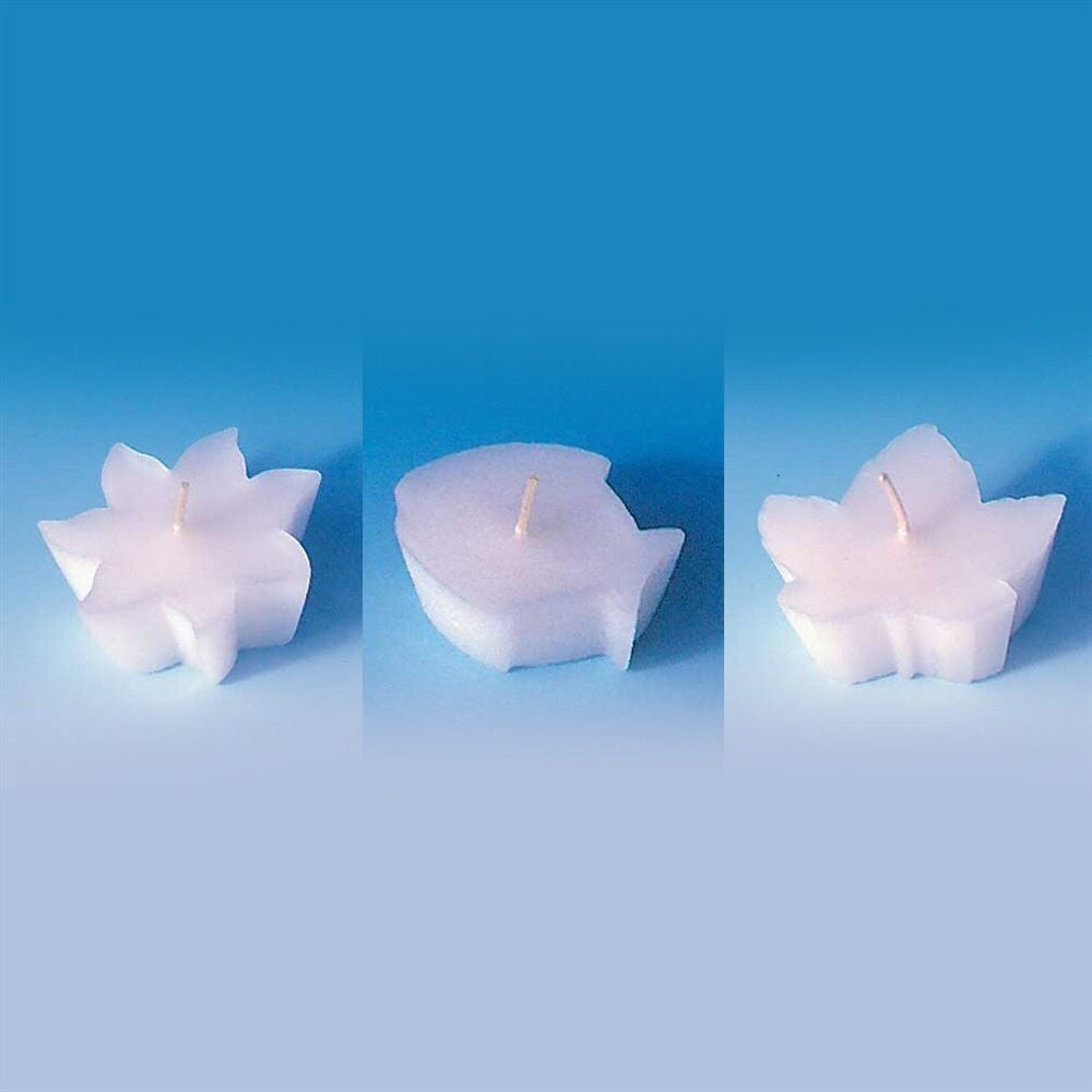 EXAGON Gießform «Sonne/Fisch/Ahornblatt»